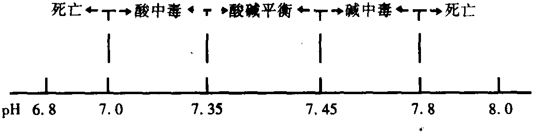 第五節(jié) 血氣分析